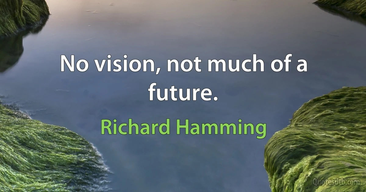 No vision, not much of a future. (Richard Hamming)