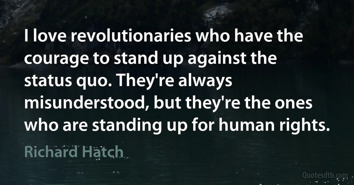 I love revolutionaries who have the courage to stand up against the status quo. They're always misunderstood, but they're the ones who are standing up for human rights. (Richard Hatch)