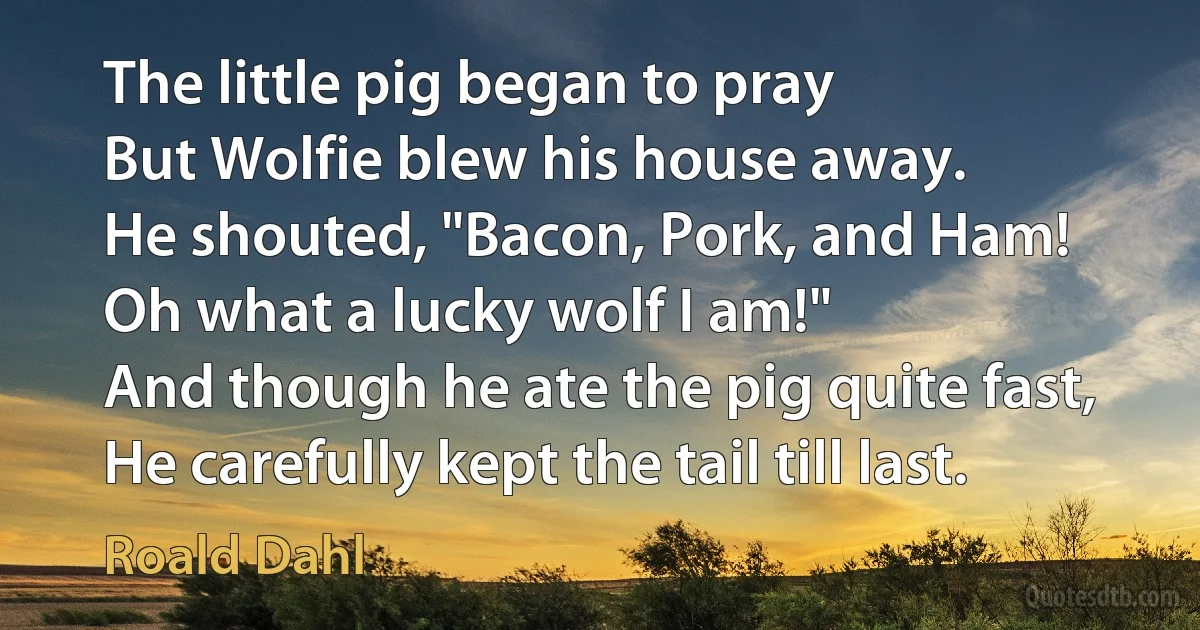 The little pig began to pray
But Wolfie blew his house away.
He shouted, "Bacon, Pork, and Ham!
Oh what a lucky wolf I am!"
And though he ate the pig quite fast,
He carefully kept the tail till last. (Roald Dahl)