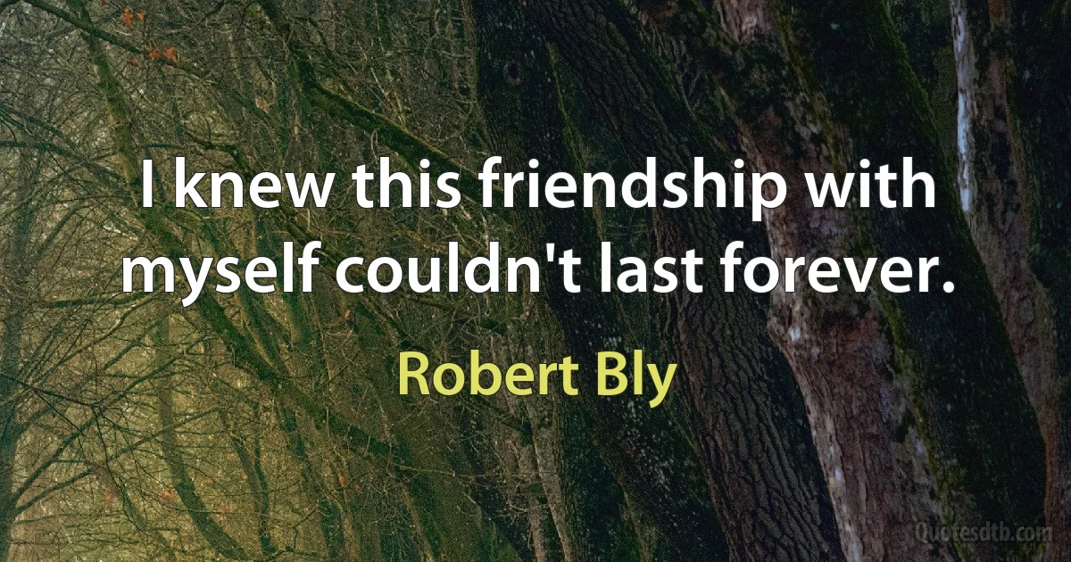 I knew this friendship with myself couldn't last forever. (Robert Bly)