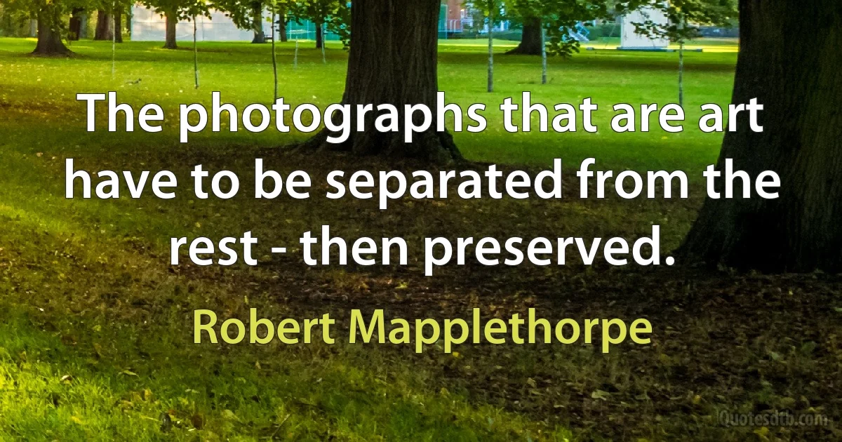 The photographs that are art have to be separated from the rest - then preserved. (Robert Mapplethorpe)