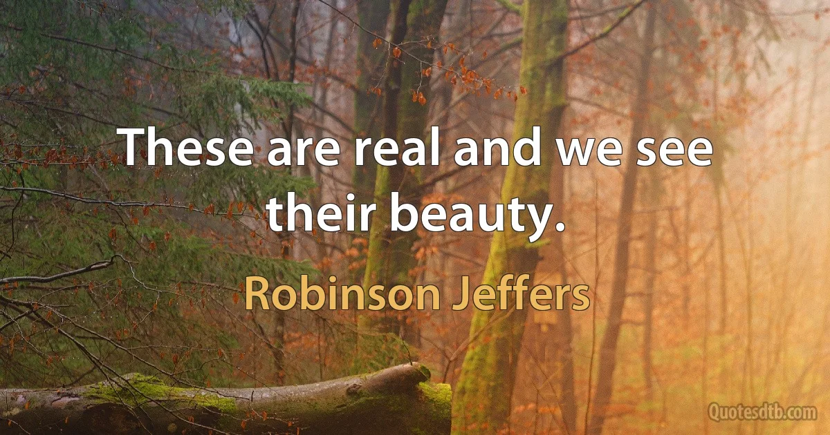 These are real and we see their beauty. (Robinson Jeffers)