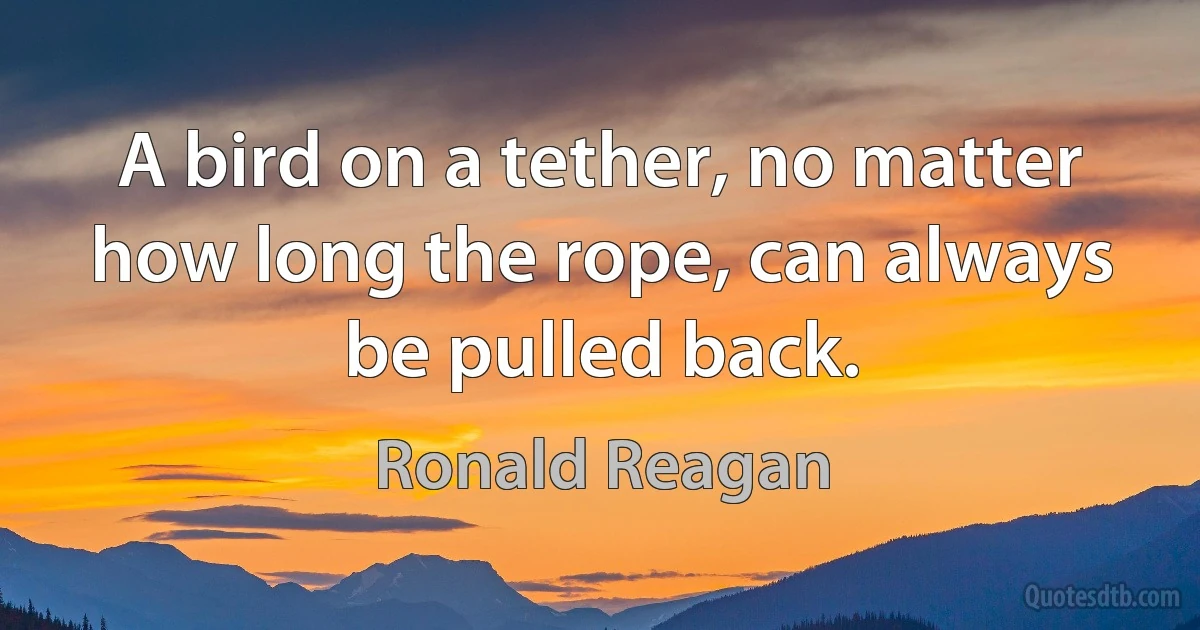 A bird on a tether, no matter how long the rope, can always be pulled back. (Ronald Reagan)