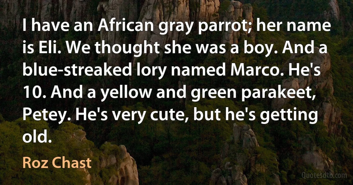 I have an African gray parrot; her name is Eli. We thought she was a boy. And a blue-streaked lory named Marco. He's 10. And a yellow and green parakeet, Petey. He's very cute, but he's getting old. (Roz Chast)