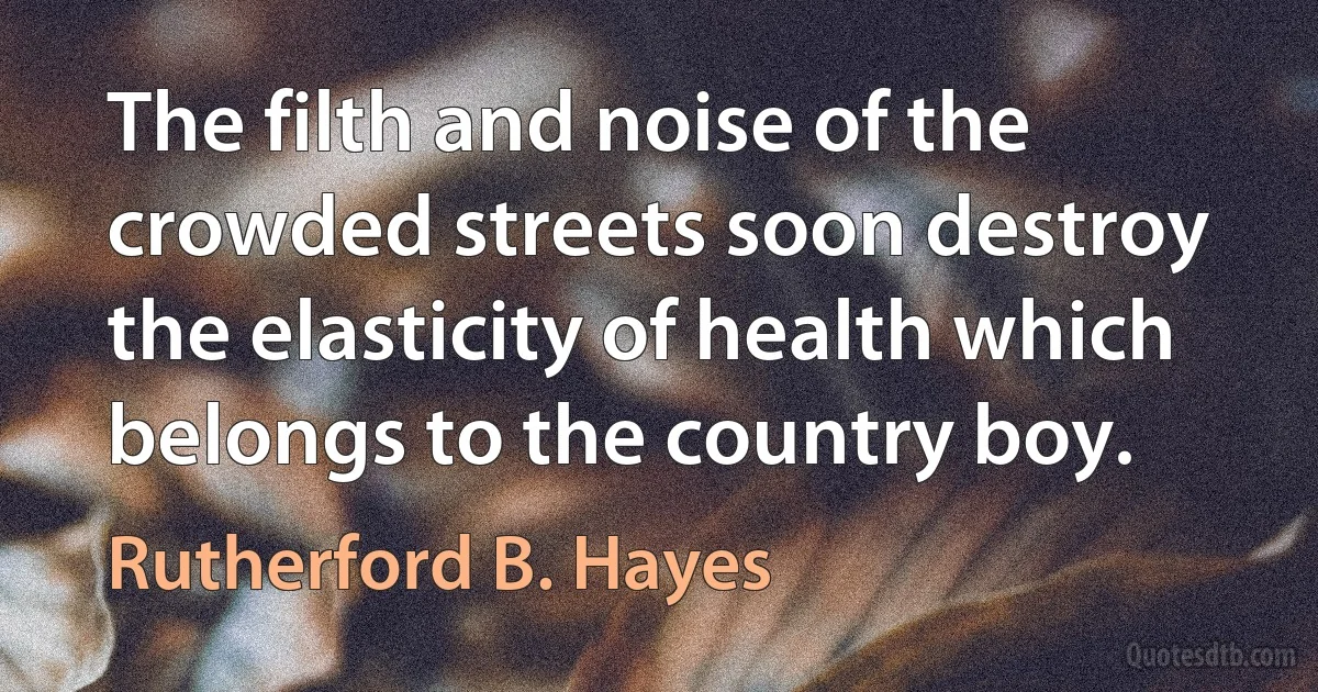 The filth and noise of the crowded streets soon destroy the elasticity of health which belongs to the country boy. (Rutherford B. Hayes)