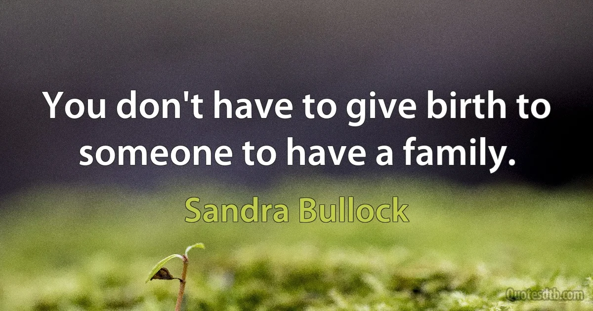 You don't have to give birth to someone to have a family. (Sandra Bullock)