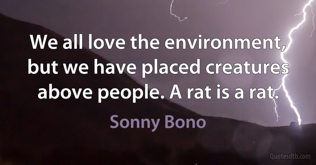 We all love the environment, but we have placed creatures above people. A rat is a rat. (Sonny Bono)