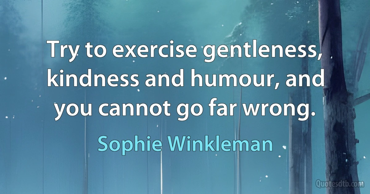 Try to exercise gentleness, kindness and humour, and you cannot go far wrong. (Sophie Winkleman)