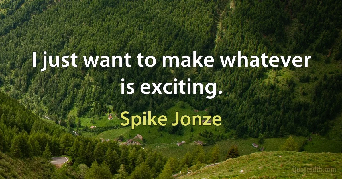 I just want to make whatever is exciting. (Spike Jonze)