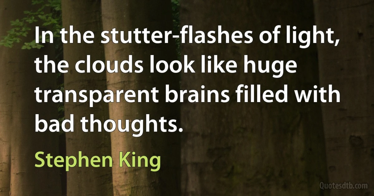 In the stutter-flashes of light, the clouds look like huge transparent brains filled with bad thoughts. (Stephen King)