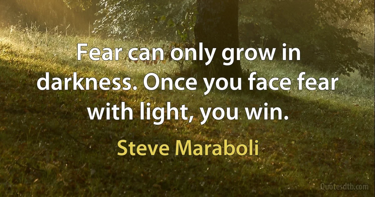 Fear can only grow in darkness. Once you face fear with light, you win. (Steve Maraboli)