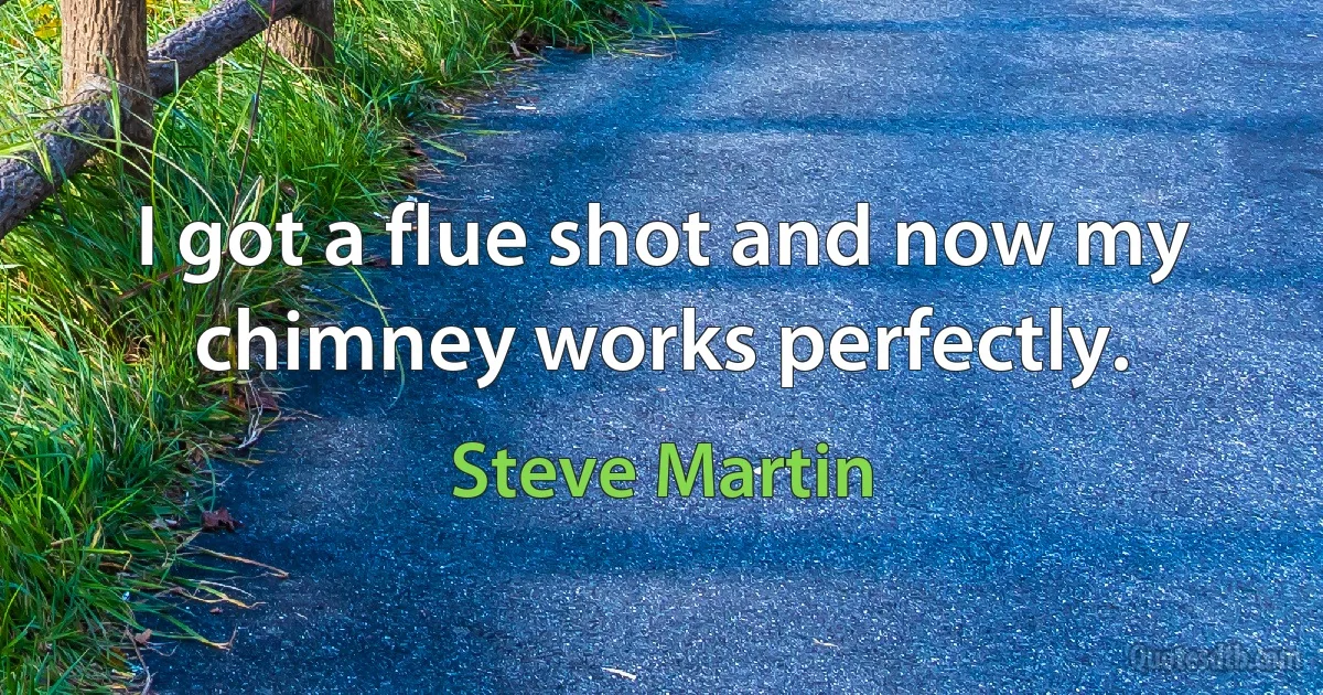 I got a flue shot and now my chimney works perfectly. (Steve Martin)