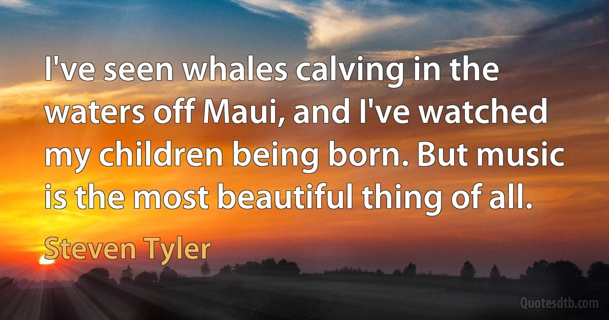 I've seen whales calving in the waters off Maui, and I've watched my children being born. But music is the most beautiful thing of all. (Steven Tyler)