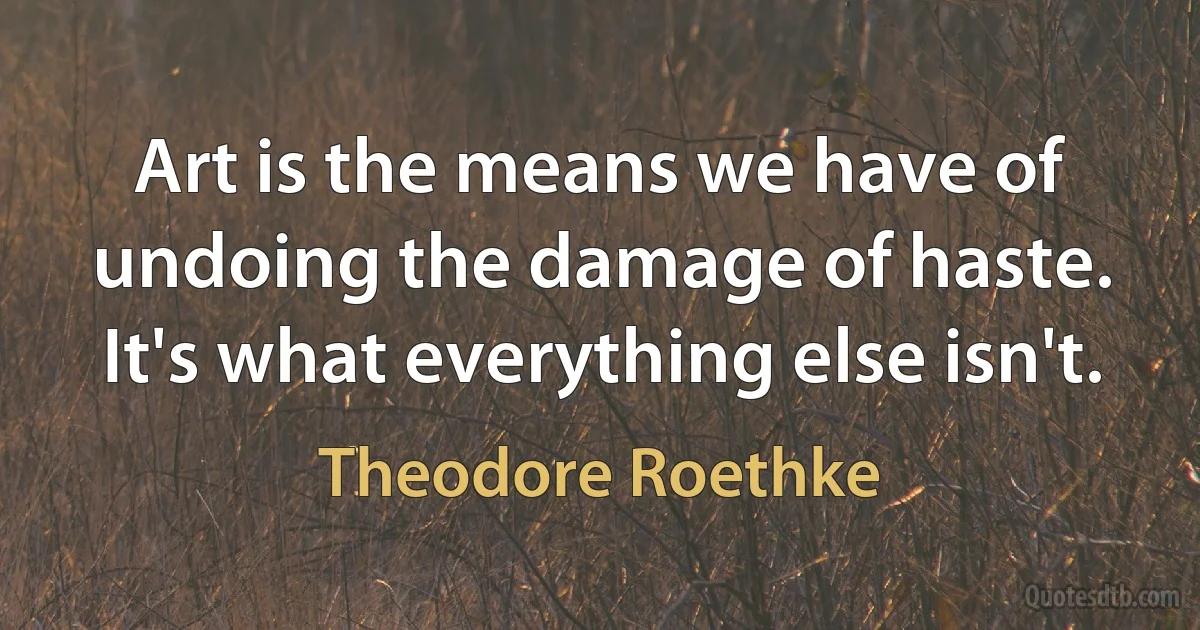 Art is the means we have of undoing the damage of haste. It's what everything else isn't. (Theodore Roethke)