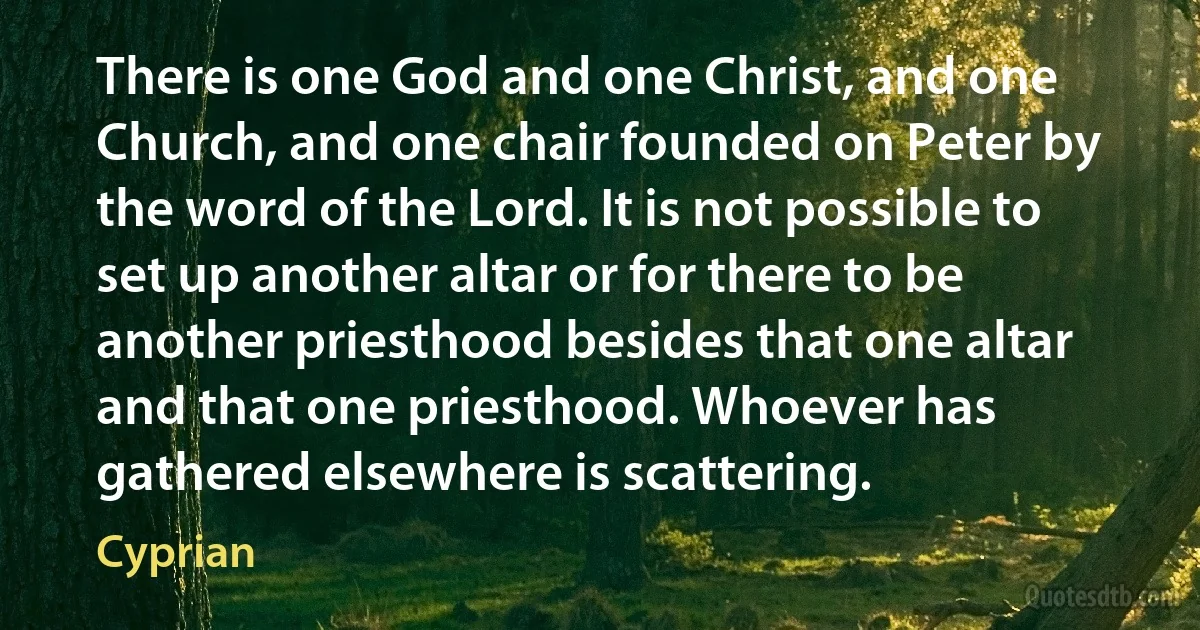 There is one God and one Christ, and one Church, and one chair founded on Peter by the word of the Lord. It is not possible to set up another altar or for there to be another priesthood besides that one altar and that one priesthood. Whoever has gathered elsewhere is scattering. (Cyprian)