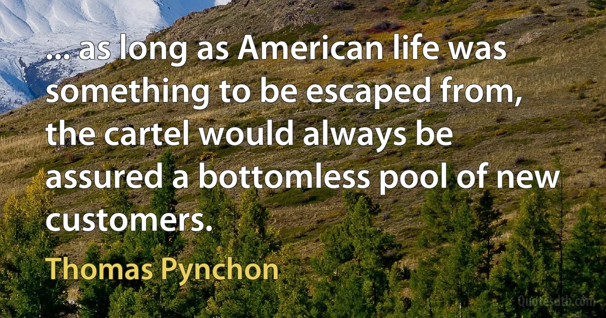 ... as long as American life was something to be escaped from, the cartel would always be assured a bottomless pool of new customers. (Thomas Pynchon)