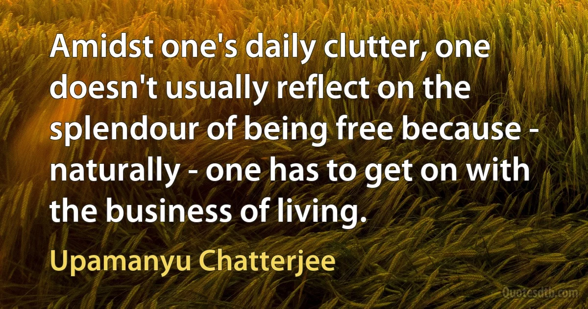 Amidst one's daily clutter, one doesn't usually reflect on the splendour of being free because - naturally - one has to get on with the business of living. (Upamanyu Chatterjee)