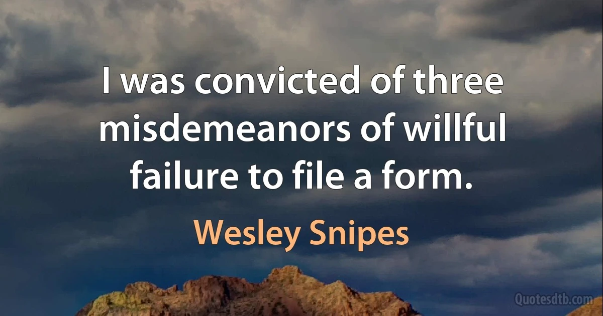 I was convicted of three misdemeanors of willful failure to file a form. (Wesley Snipes)