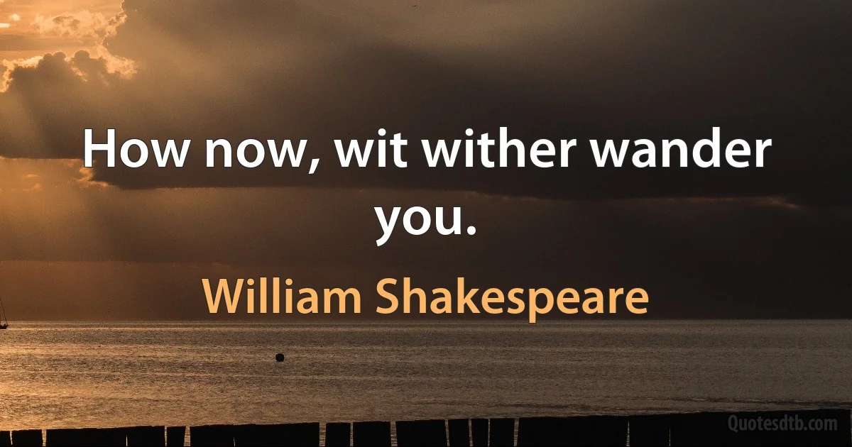 How now, wit wither wander you. (William Shakespeare)