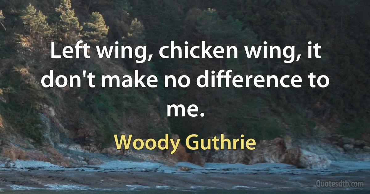 Left wing, chicken wing, it don't make no difference to me. (Woody Guthrie)