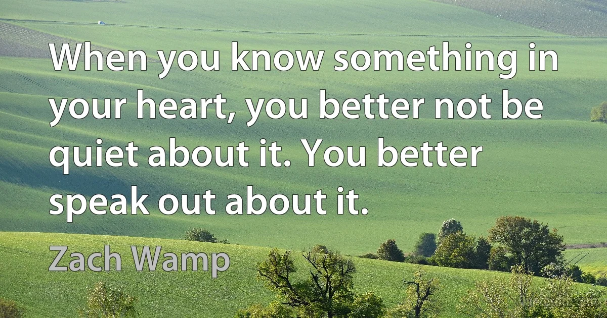 When you know something in your heart, you better not be quiet about it. You better speak out about it. (Zach Wamp)