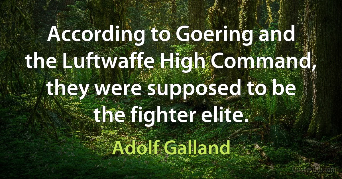 According to Goering and the Luftwaffe High Command, they were supposed to be the fighter elite. (Adolf Galland)