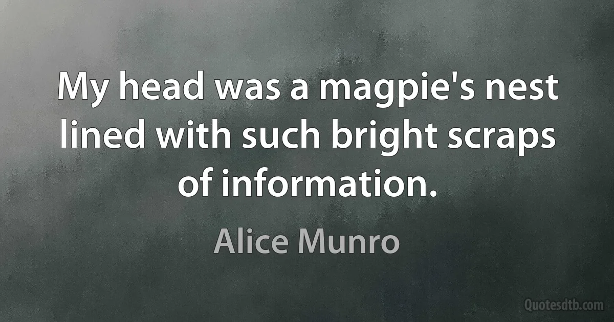 My head was a magpie's nest lined with such bright scraps of information. (Alice Munro)