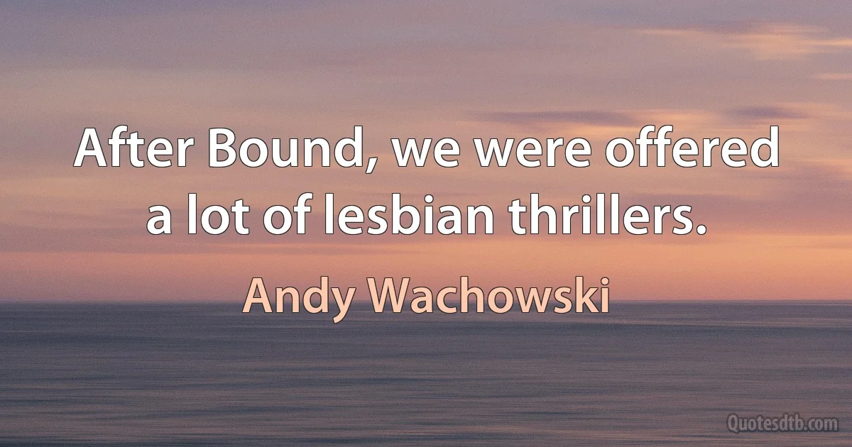 After Bound, we were offered a lot of lesbian thrillers. (Andy Wachowski)