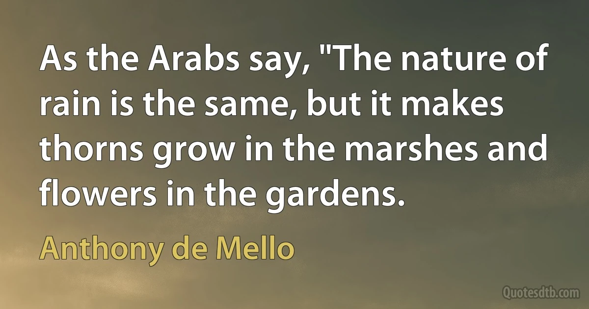 As the Arabs say, "The nature of rain is the same, but it makes thorns grow in the marshes and flowers in the gardens. (Anthony de Mello)