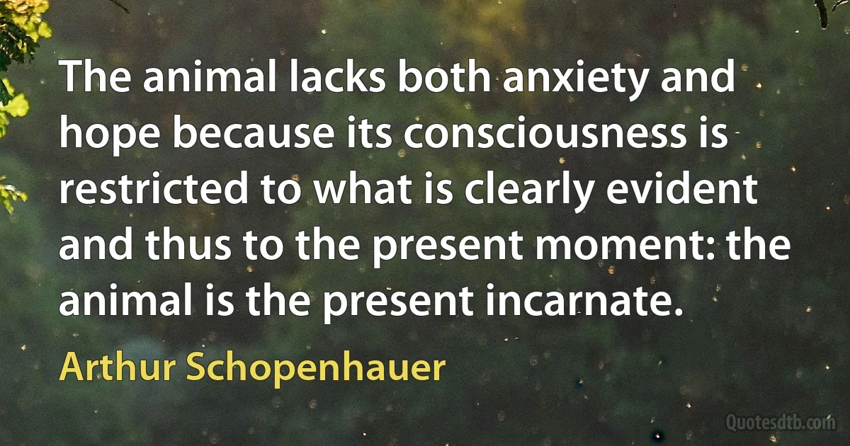 The animal lacks both anxiety and hope because its consciousness is restricted to what is clearly evident and thus to the present moment: the animal is the present incarnate. (Arthur Schopenhauer)