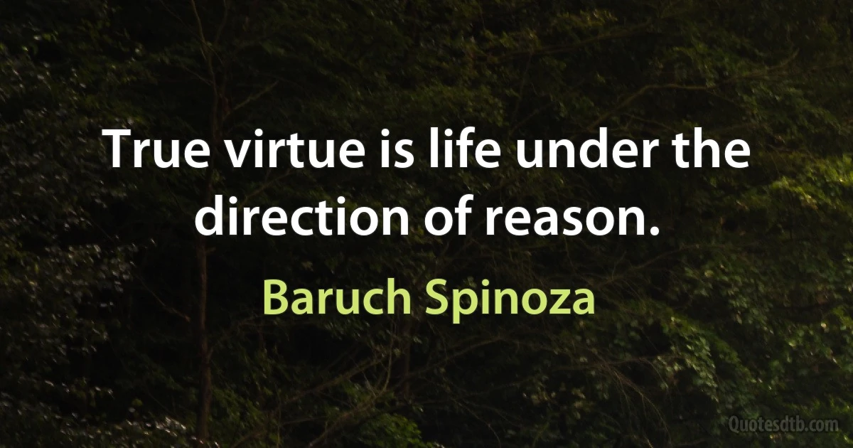 True virtue is life under the direction of reason. (Baruch Spinoza)