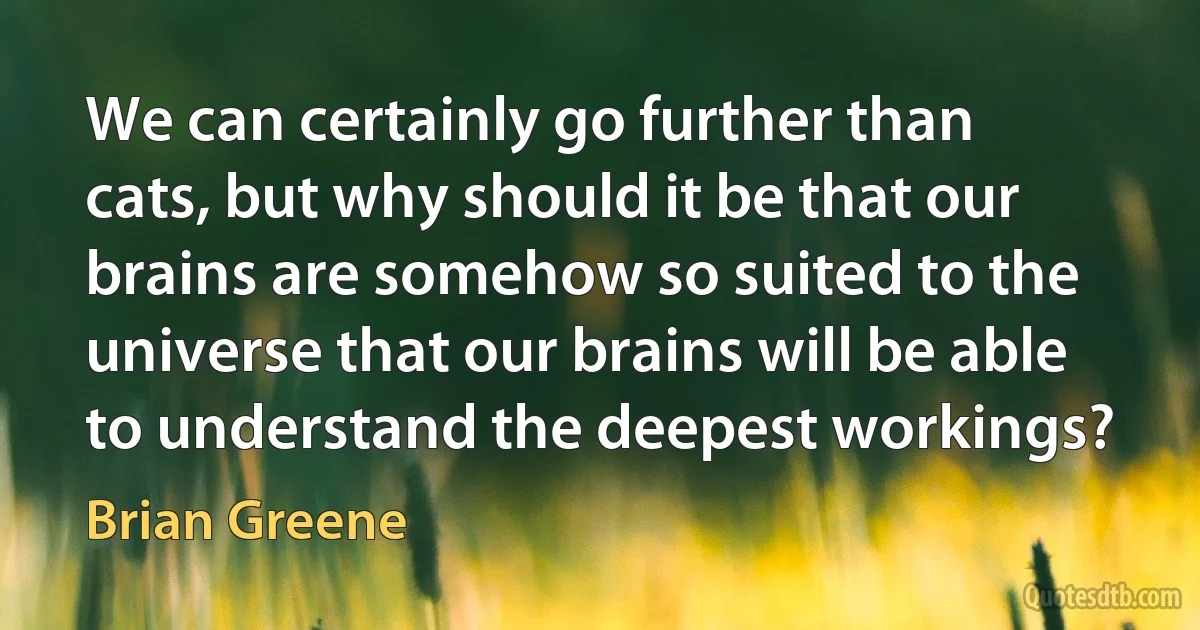 We can certainly go further than cats, but why should it be that our brains are somehow so suited to the universe that our brains will be able to understand the deepest workings? (Brian Greene)