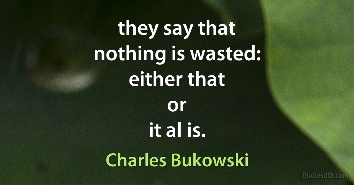 they say that
nothing is wasted:
either that
or
it al is. (Charles Bukowski)