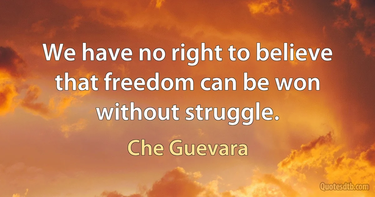 We have no right to believe that freedom can be won without struggle. (Che Guevara)