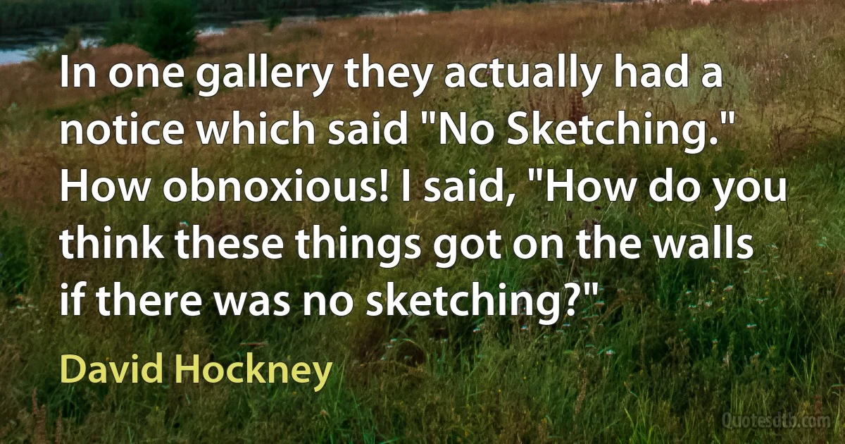 In one gallery they actually had a notice which said "No Sketching." How obnoxious! I said, "How do you think these things got on the walls if there was no sketching?" (David Hockney)