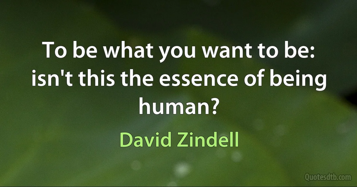 To be what you want to be: isn't this the essence of being human? (David Zindell)