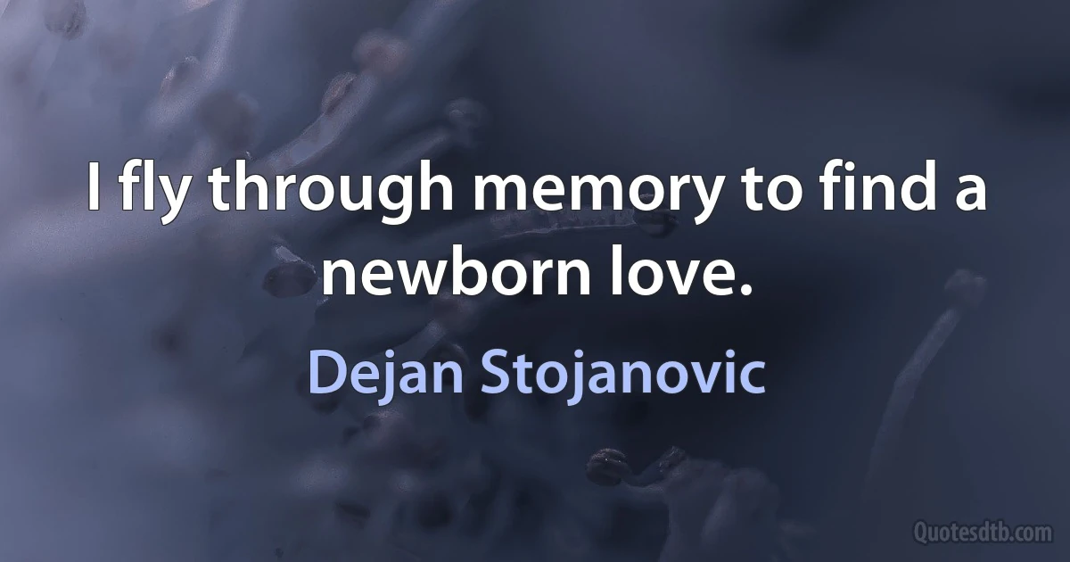 I fly through memory to find a newborn love. (Dejan Stojanovic)