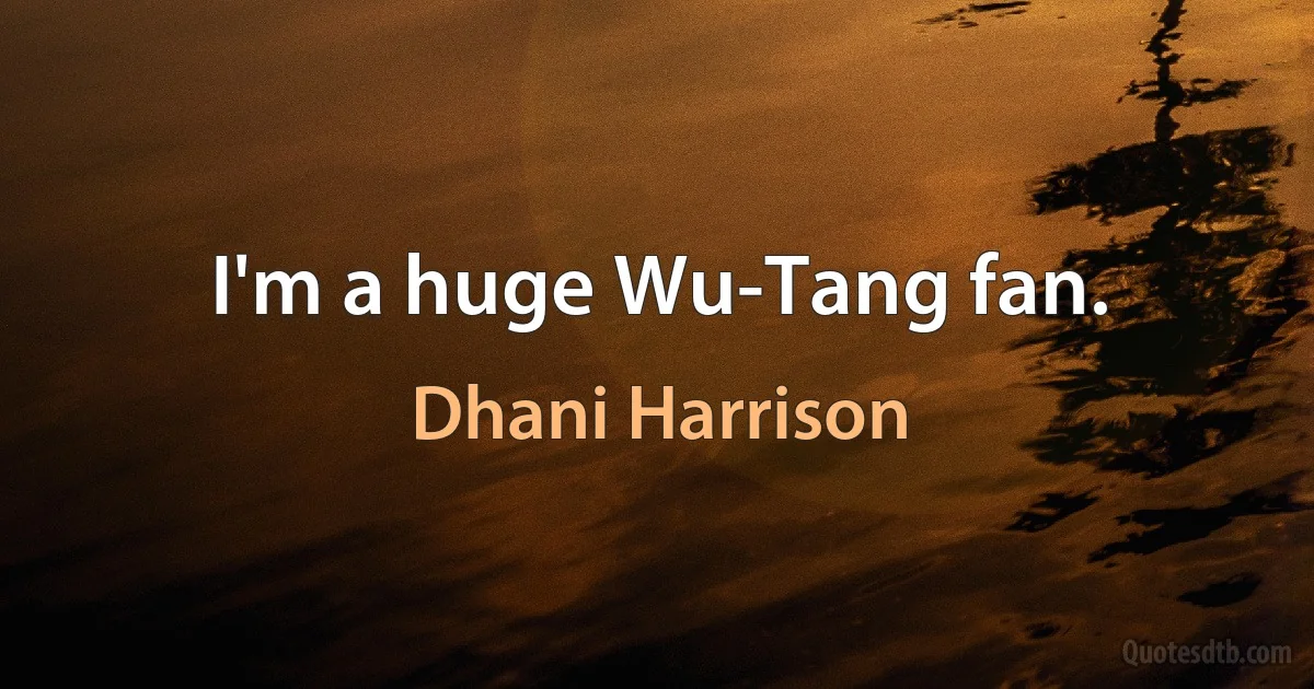 I'm a huge Wu-Tang fan. (Dhani Harrison)