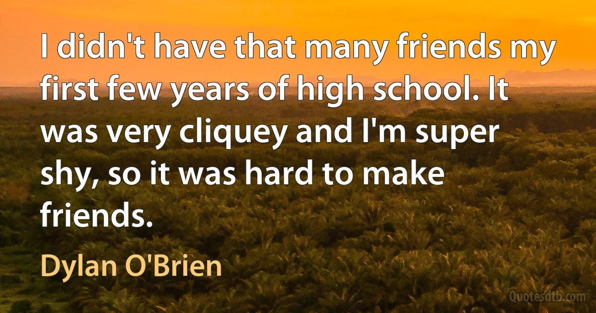 I didn't have that many friends my first few years of high school. It was very cliquey and I'm super shy, so it was hard to make friends. (Dylan O'Brien)