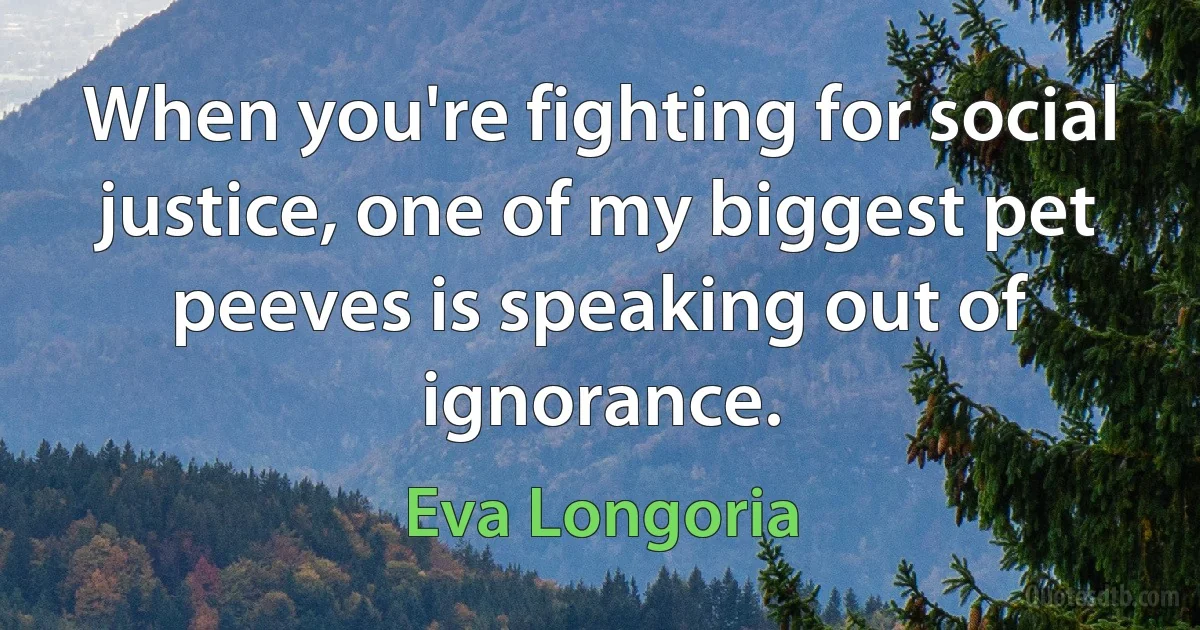 When you're fighting for social justice, one of my biggest pet peeves is speaking out of ignorance. (Eva Longoria)