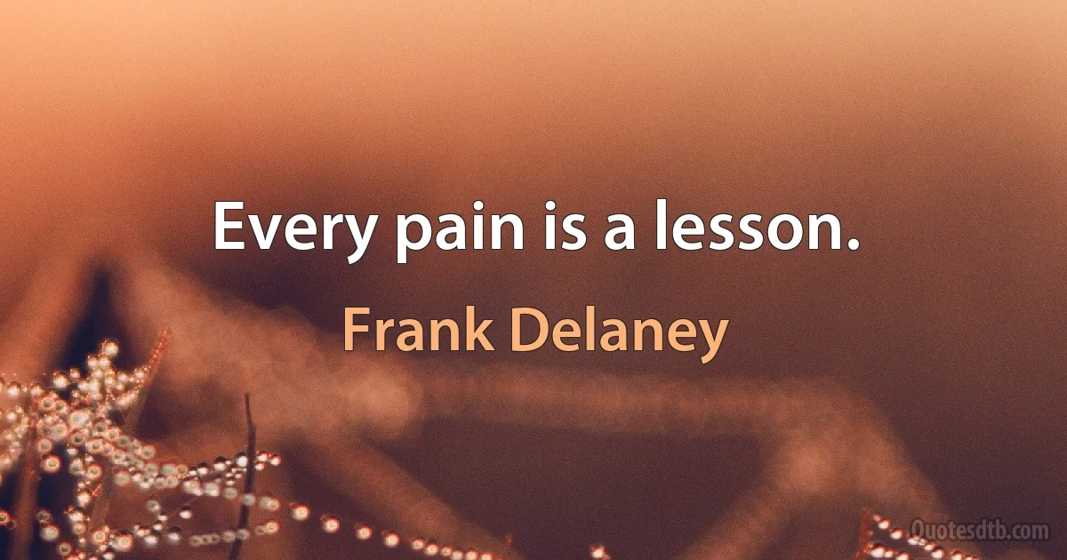 Every pain is a lesson. (Frank Delaney)