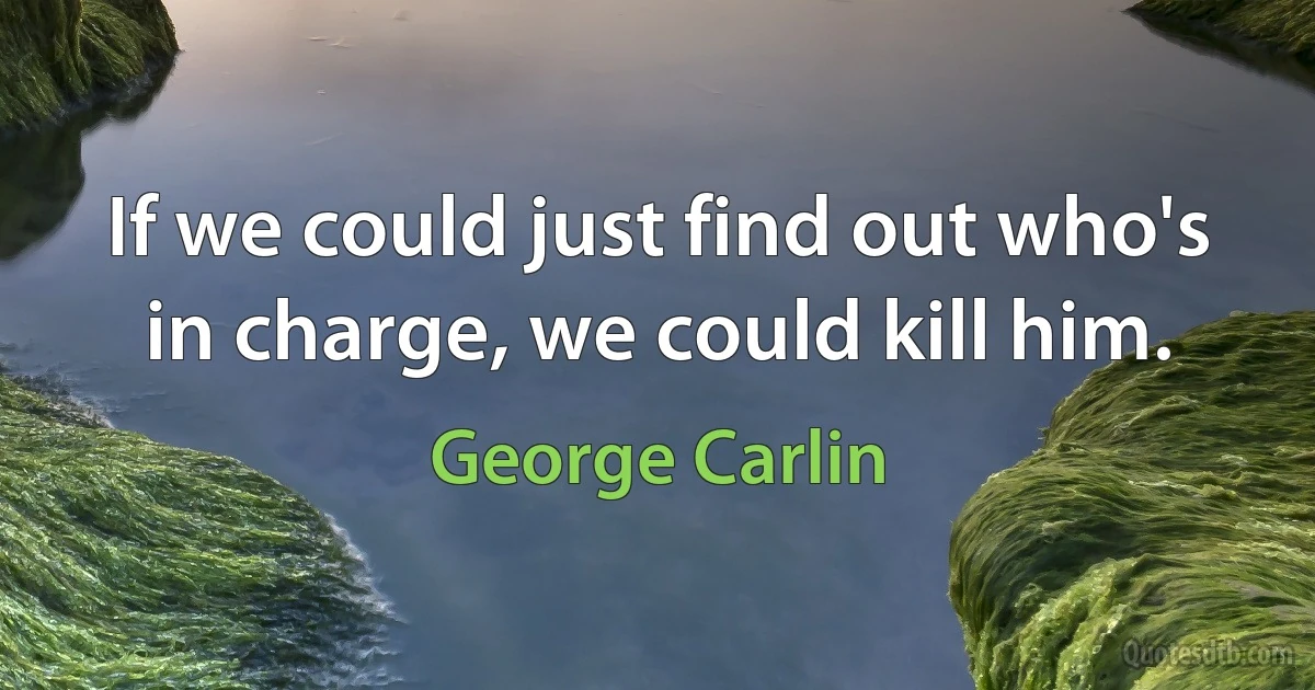 If we could just find out who's in charge, we could kill him. (George Carlin)