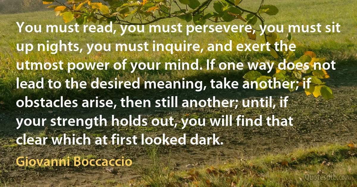 You must read, you must persevere, you must sit up nights, you must inquire, and exert the utmost power of your mind. If one way does not lead to the desired meaning, take another; if obstacles arise, then still another; until, if your strength holds out, you will find that clear which at first looked dark. (Giovanni Boccaccio)