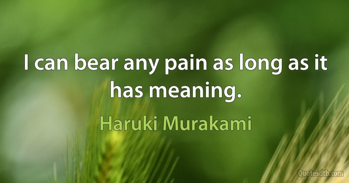 I can bear any pain as long as it has meaning. (Haruki Murakami)