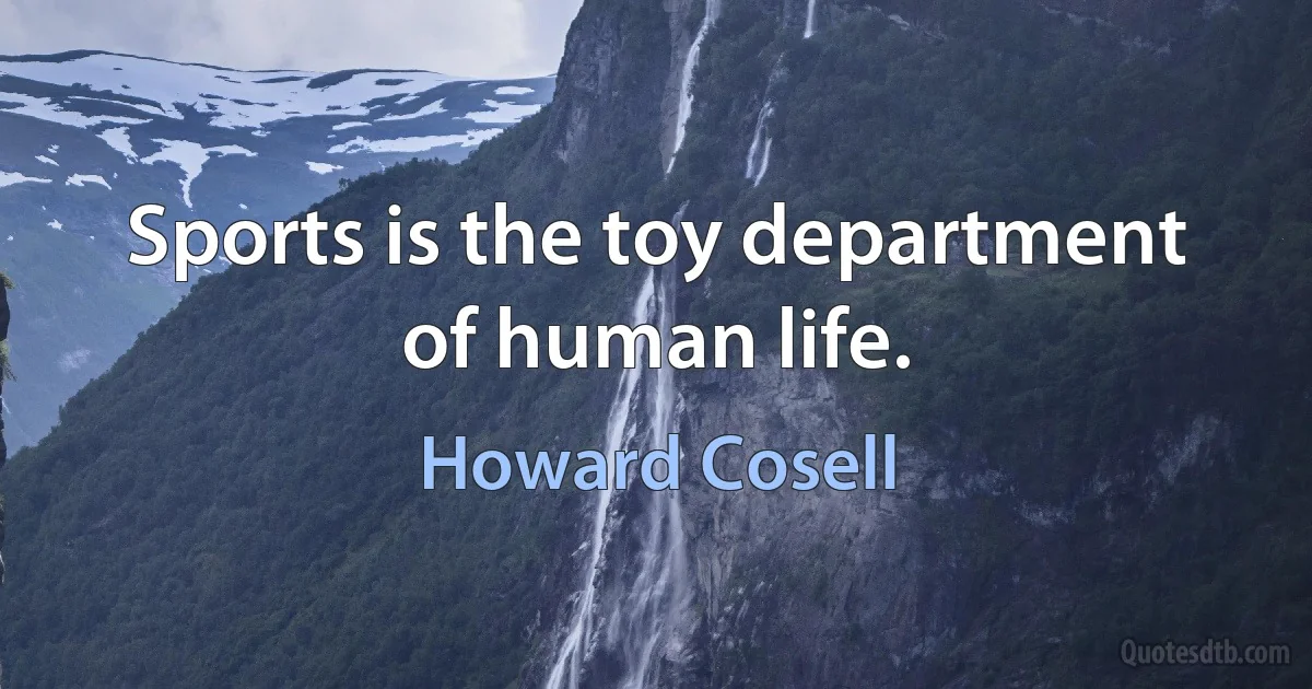 Sports is the toy department of human life. (Howard Cosell)