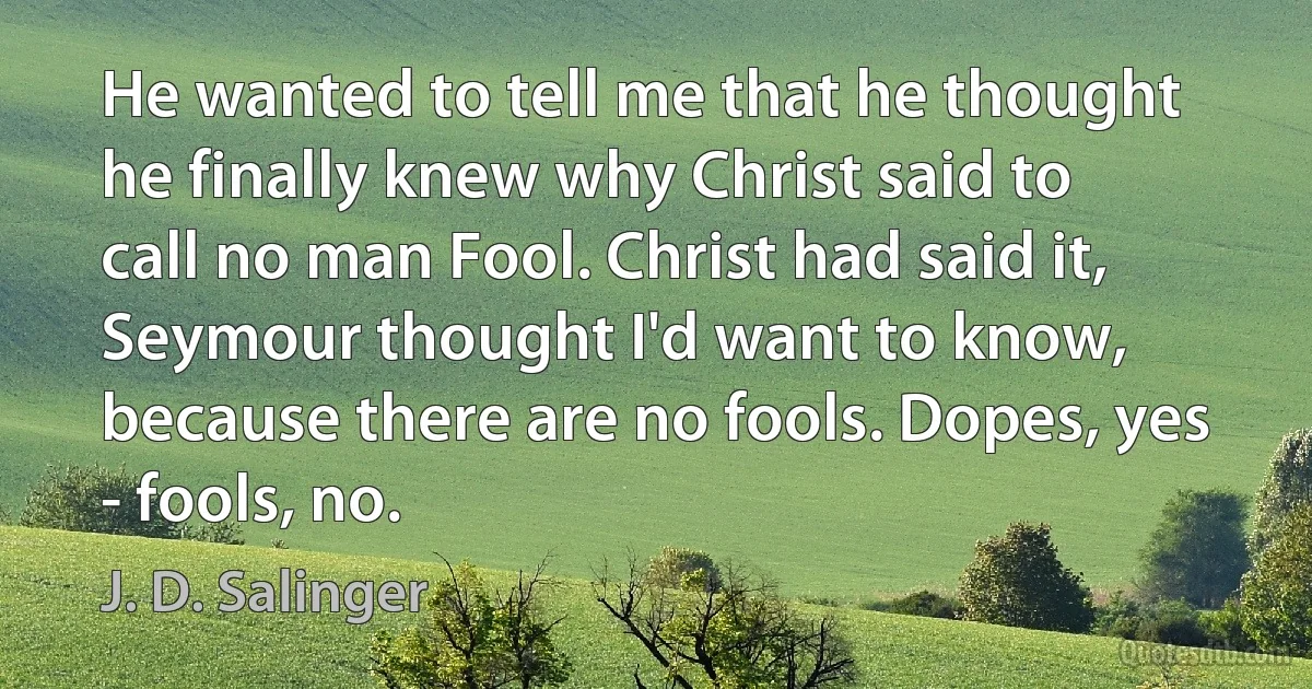 He wanted to tell me that he thought he finally knew why Christ said to call no man Fool. Christ had said it, Seymour thought I'd want to know, because there are no fools. Dopes, yes - fools, no. (J. D. Salinger)