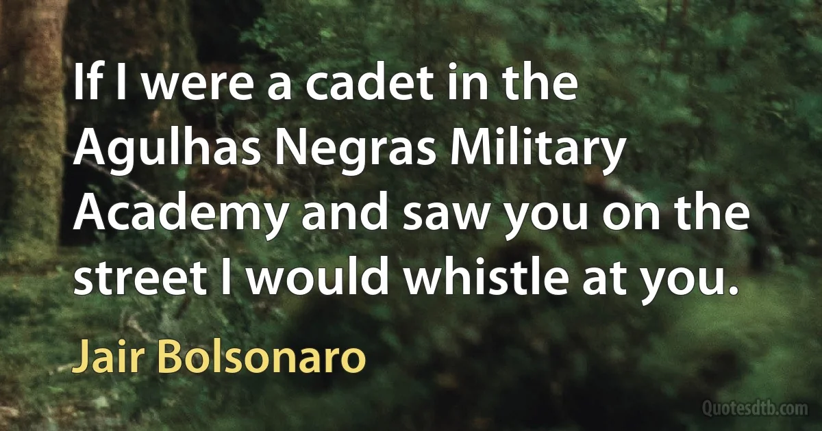 If I were a cadet in the Agulhas Negras Military Academy and saw you on the street I would whistle at you. (Jair Bolsonaro)