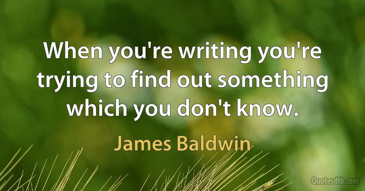 When you're writing you're trying to find out something which you don't know. (James Baldwin)