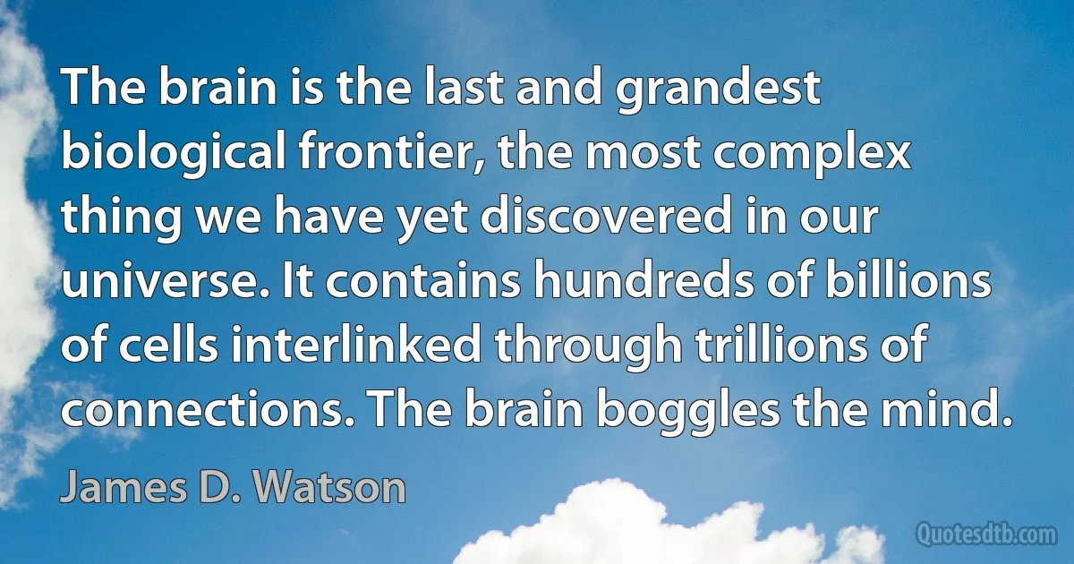 The brain is the last and grandest biological frontier, the most complex thing we have yet discovered in our universe. It contains hundreds of billions of cells interlinked through trillions of connections. The brain boggles the mind. (James D. Watson)