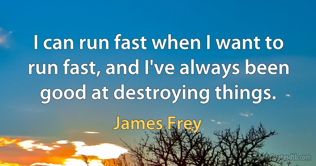 I can run fast when I want to run fast, and I've always been good at destroying things. (James Frey)